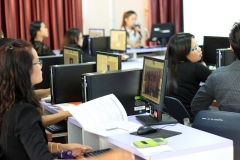 _MG_6052 (Small)